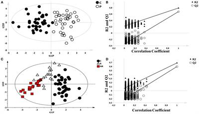 Metabolomics As a Tool for the Characterization of Drug-Resistant Epilepsy